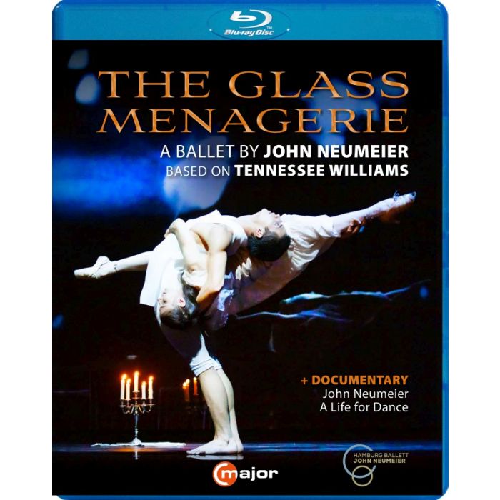 The Glass Menagerie (BD) - slide-1