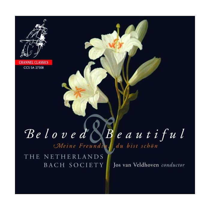 Beloved & Beautiful
