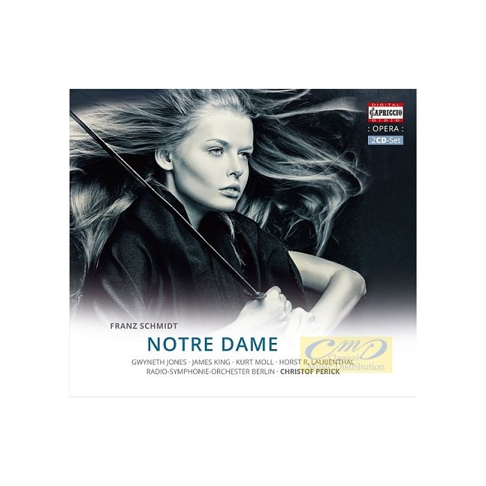 Schmidt: Notre Dame