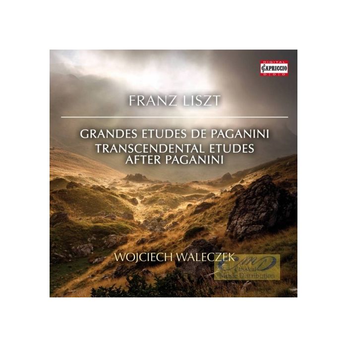 Liszt: Grandes Etudes de Paganini, Transcendental Etudes