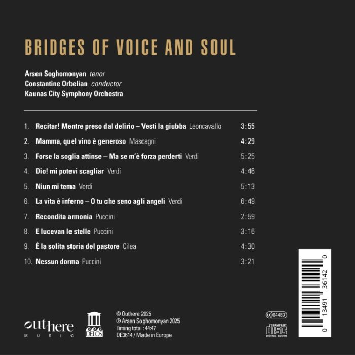 Bridges of Voice and Soul - slide-1