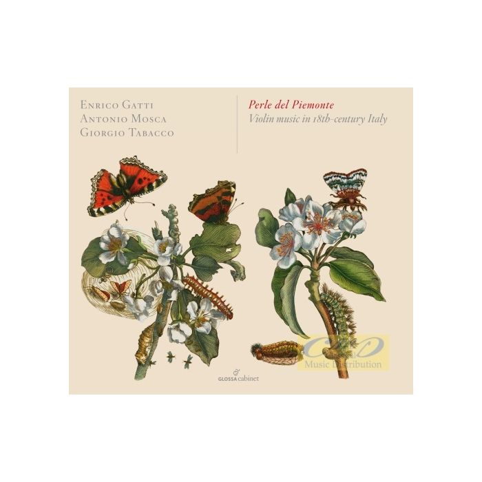 Perle del Piemonte, Violin music in 18th century Italy