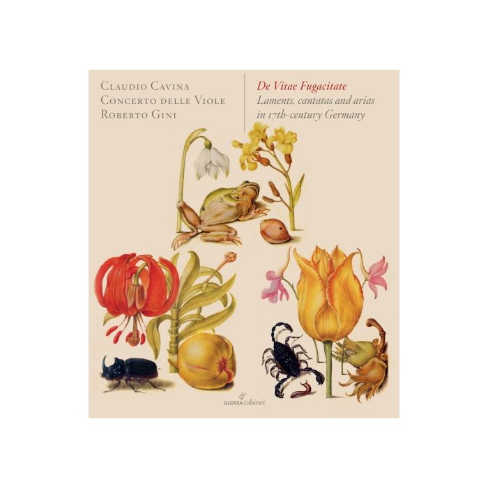 De Vitae Fugacitate, Laments, cantatas and arias in 17th-century Germany