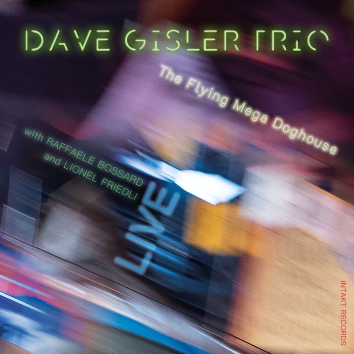 DAVE GISLER TRIO: The Flying Mega Doghouse