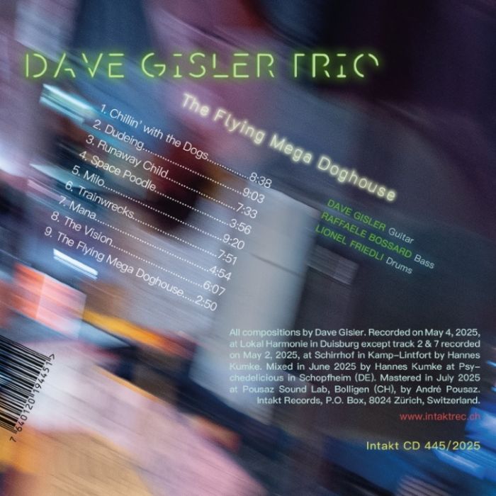 DAVE GISLER TRIO: The Flying Mega Doghouse - slide-1