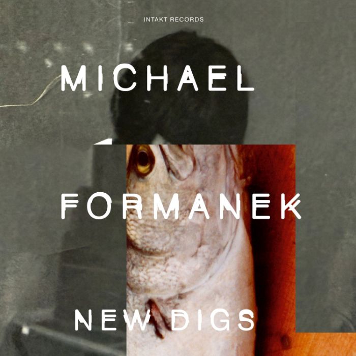 Formanek: New Digs