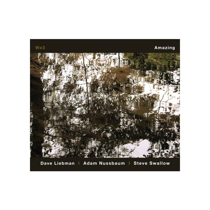 Liebman / Nussbaum / Swallow: Amazing