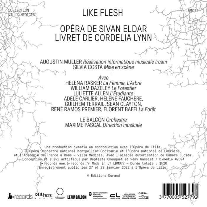 Like Flesh - slide-1