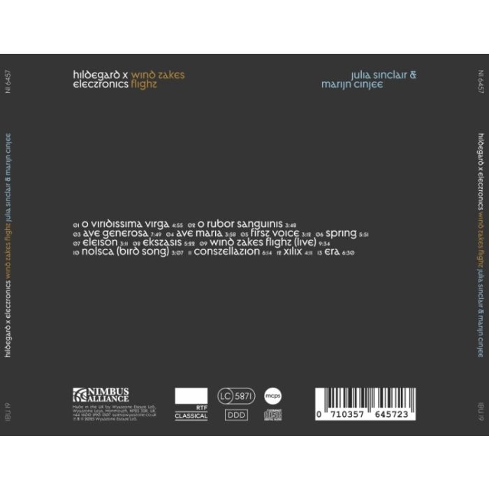 Hildegard X Electronics - Wind Takes Flight - slide-1