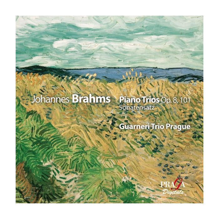 Brahms: Piano Trios Op. 8, 101 / Sonatensatz