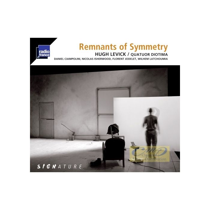 Levick: Remnants of Symmetry
