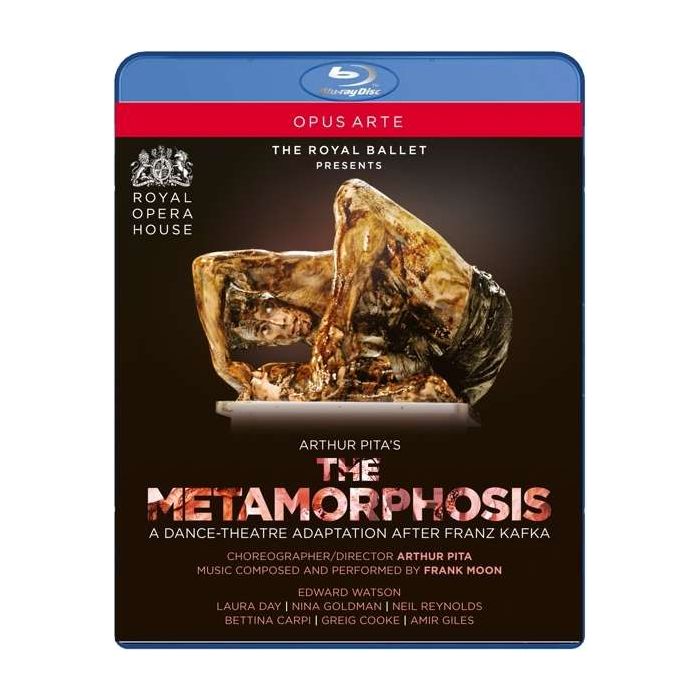 Pita: The Metamorphosis