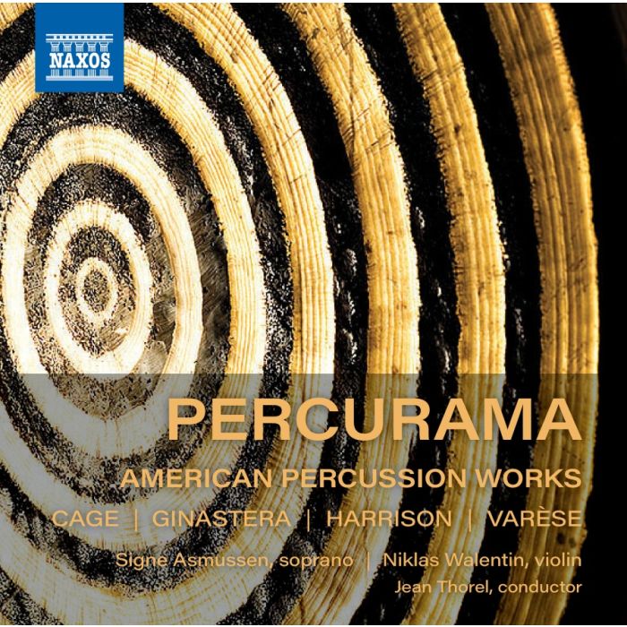 American Percussion Works