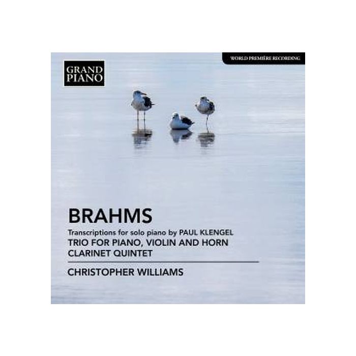 Brahms: Transcriptions for solo piano by Paul Klengel