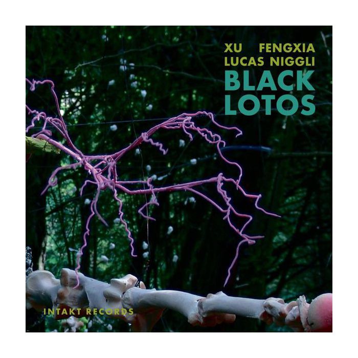 Niggli/Fengxia: Black Lotos