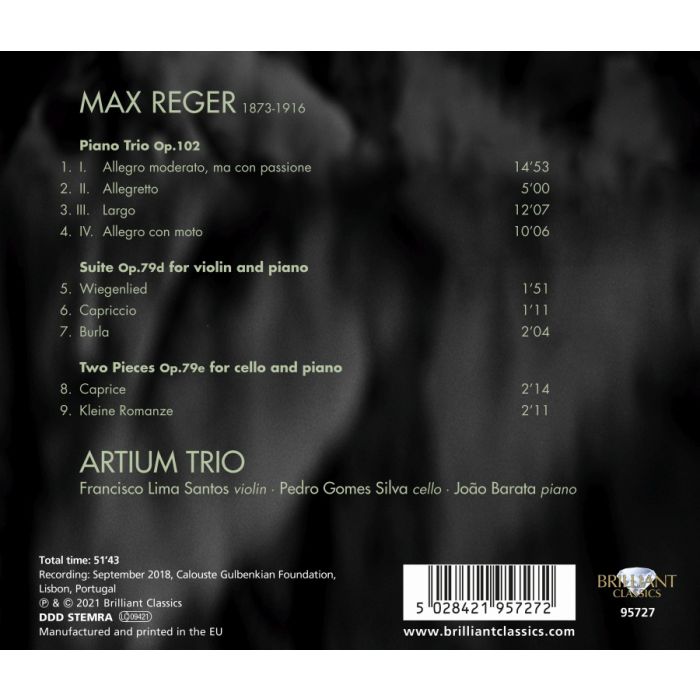 Reger: Piano Trio Op. 102 - slide-1
