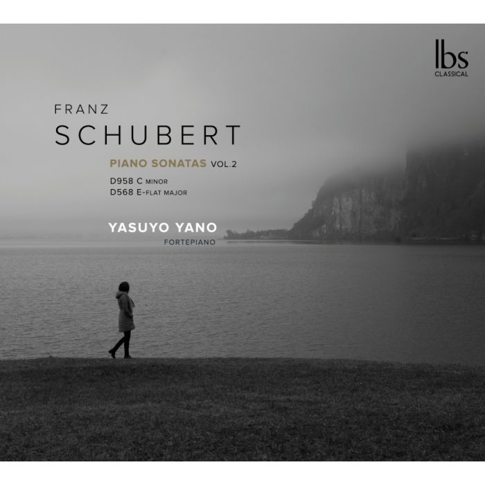 Schubert: Piano Sonatas Vol. 2