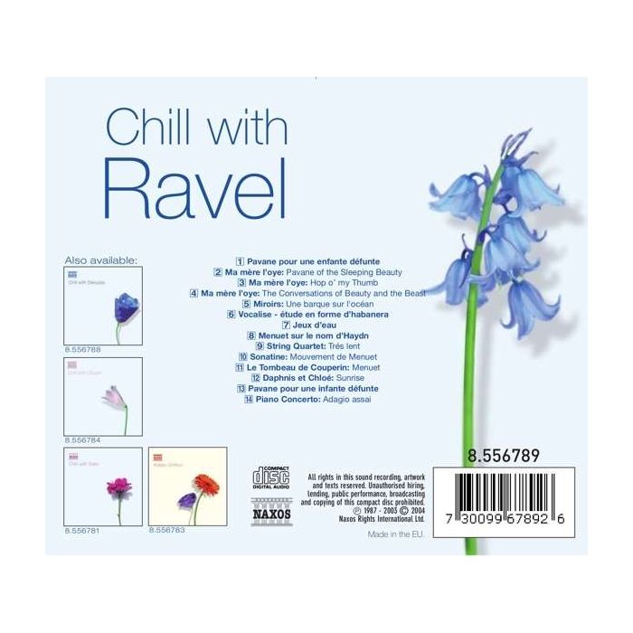 CHILL WITH RAVEL - slide-1