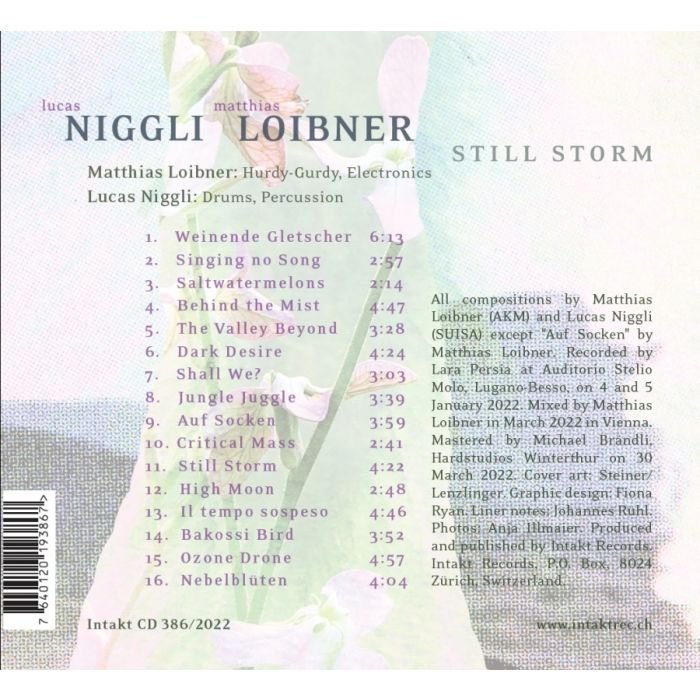 Loibner/Niggli: Still Storm - slide-1