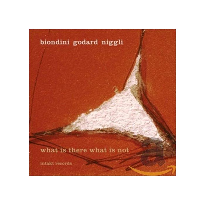 Biondini/Godard/Niggli: What Is There What Is Not