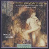 Il Teatro Strumentale Dell' 800