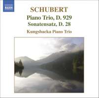 SCHUBERT: Piano Trio D. 929, Sonatensatz, D. 28