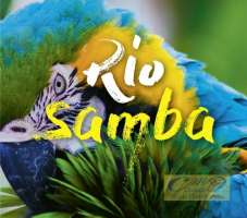 WYCOFANY   Rio - Brazylia: Samba