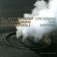 Sharp/Niggli/Gibbs: Crossing The Waters