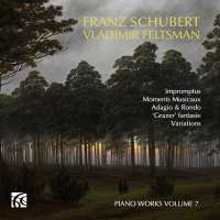 Schubert: Piano Works Vol. 7