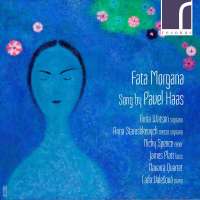 Haas: Fata Morgana