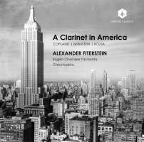 A Clarinet in America