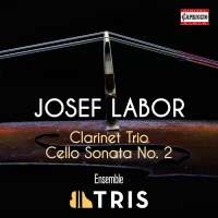Labor: Clarinet Trio; Cello Sonata No. 2
