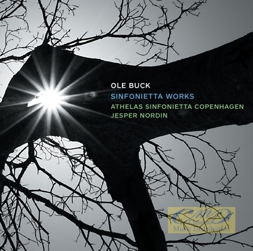 Buck: Sinfonietta Works