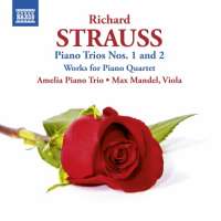 Strauss: Piano Trios Nos. 1 & 2, Works for Piano Quartet