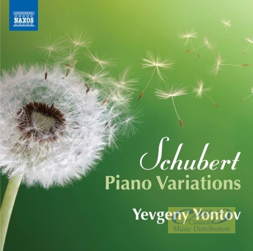 Schubert: Piano Variations