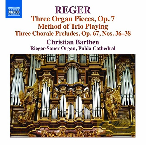 Reger: Organ Works Vol. 16