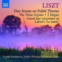 Liszt: Music for Violin and Piano