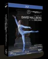 The Art Of David Hallberg - The Sleeping Beauty; Marco Spada