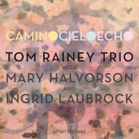 Laubrock/Halvorson/Rainey: Camino Cielo Echo