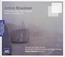 Bruckner: Motets and messe