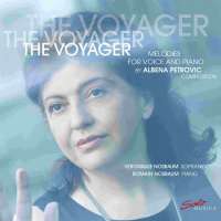 The Voyager