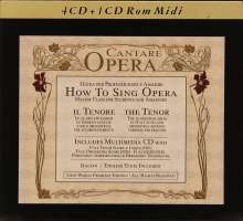 How to Sing Opera - Master Class for Students and Amateurs - The Tenor