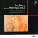 Beethoven: Gassenhauer-Trio op. 11