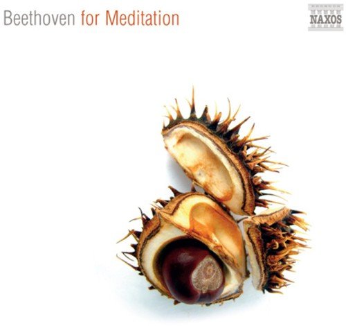 BEETHOVEN FOR MEDITATION