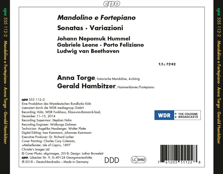 Mandolino e Fortepiano - slide-1