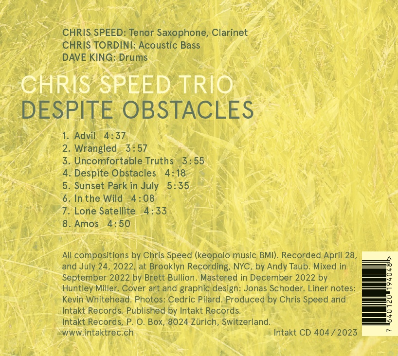 Speed Trio: Despite Obstacles - slide-1