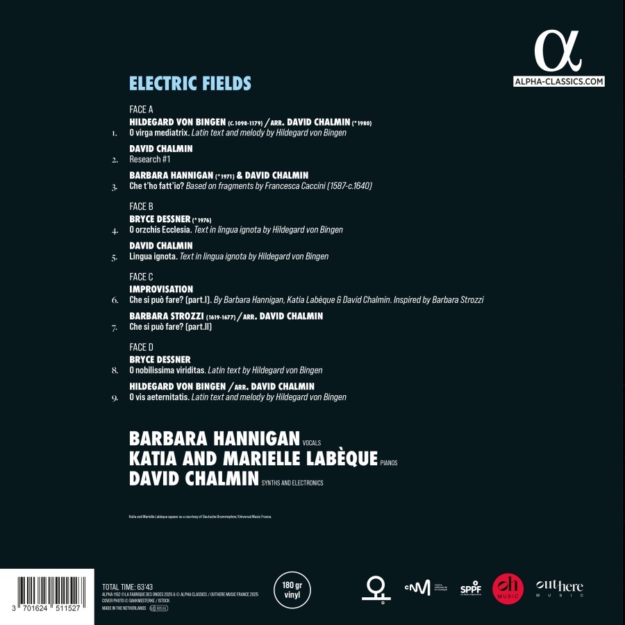 ELECTRIC FIELDS (LP) - slide-1