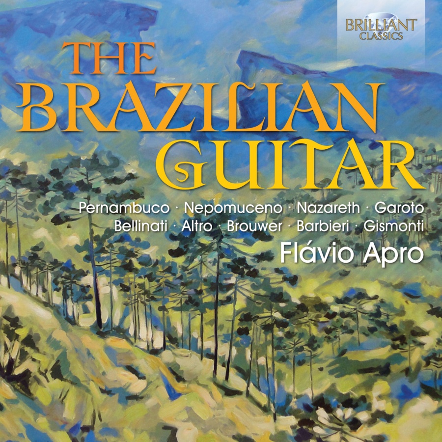 The Brazilian Guitar