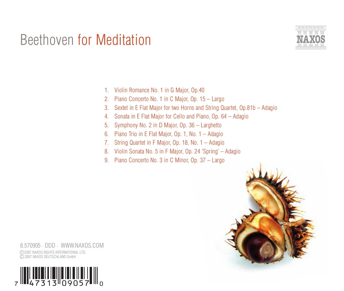 BEETHOVEN FOR MEDITATION - slide-1