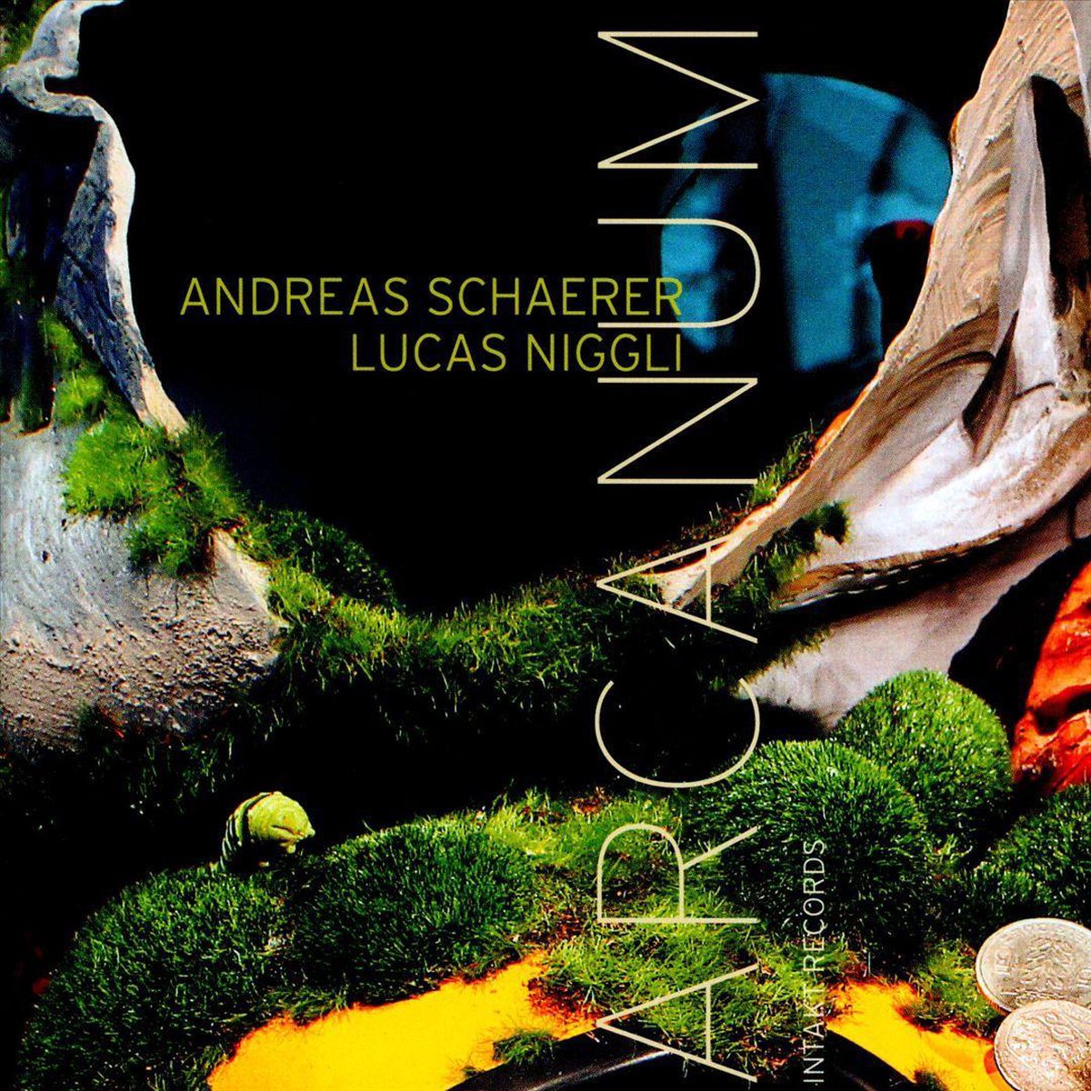 Schaerer/ Niggli: Arcanum